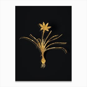 Vintage Rain Lily Botanical in Gold on Black n.0132 Canvas Print