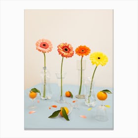Still Life Flowers And Fruits Canvas Print
