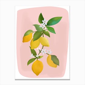 Lemons  Canvas Print