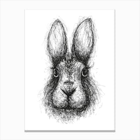 Scribble Rabbit Canvas Print