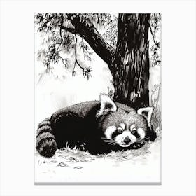 Red Panda Laying Under A Tree Ink Illustration 3 Canvas Print