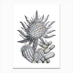 Star Cactus William Morris Inspired 3 Canvas Print
