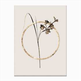 Gold Ring Gladiolus Ringens Glitter Botanical Illustration n.0108 Canvas Print