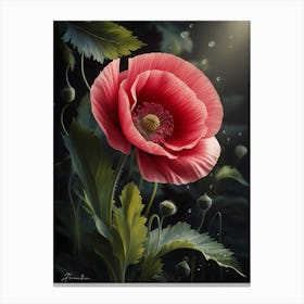 Poppy 2 Canvas Print