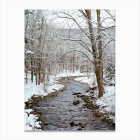 Upstate New York Snow XII on Film Canvas Print