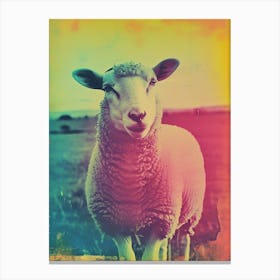 Polaroid Sheep Portrait 4 Canvas Print