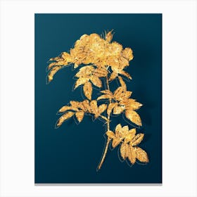 Vintage Shining Rosa Lucida Botanical in Gold on Teal Blue n.0013 Canvas Print