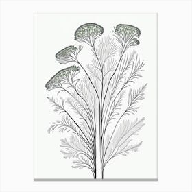 Fennel Herb William Morris Inspired Line Drawing 1 Canvas Print