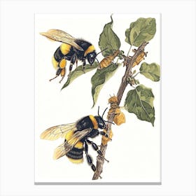 Leafcutter Bee Storybook Illustration 20 Canvas Print