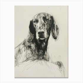 Bluetick Hound Dog Charcoal Line 4 Canvas Print