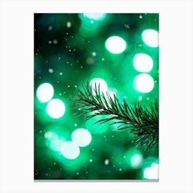 Christmas Tree Branch Canvas Print