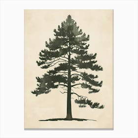 Cedar Tree Minimal Japandi Illustration 4 Canvas Print