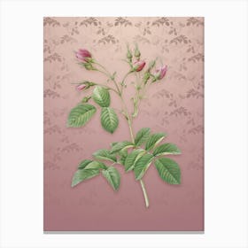 Vintage Crimson Evrat's Rose Botanical on Dusty Pink Pattern n.2167 Canvas Print