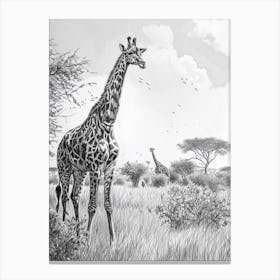 Two Giraffe In The Wild Pencil Drawing Canvas Print
