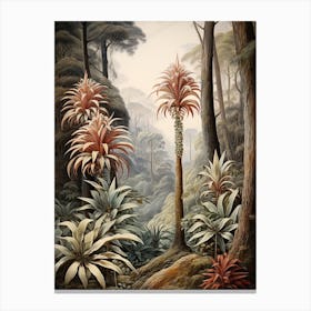 Vintage Jungle Botanical Illustration Cordyline 4 Canvas Print