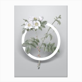 Vintage White Flowered Rose Minimalist Botanical Geometric Circle on Soft Gray n.0367 Canvas Print