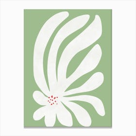 White Chrysanthemum Canvas Print