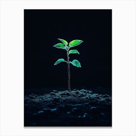 Tree In The Dark 34 Canvas Print