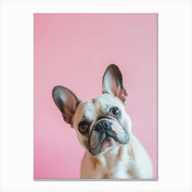 French Bulldog On Pink Background.Generated AI. Art Print Canvas Print