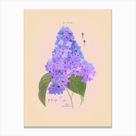 Lilac Botanical Canvas Print