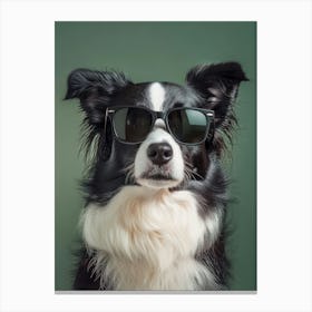 Border Collie Dog In Sunglasses Canvas Print