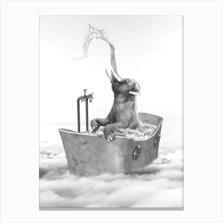 Elephant Bath Canvas Print