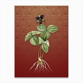 Vintage Trillium Rhomboideum Botanical on Falu Red Pattern n.0484 Canvas Print