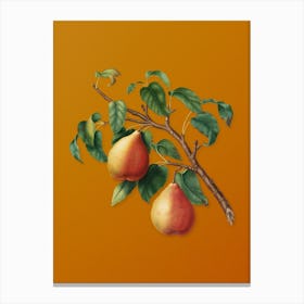 Vintage Wild European Pear Botanical on Sunset Orange n.0553 Canvas Print