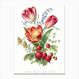 Strawberry Tulips Canvas Print