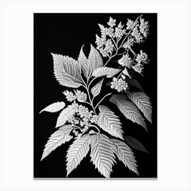 Spirea Leaf Linocut 1 Canvas Print