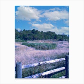 Field By Hadley Gate Canvas Print