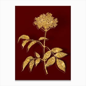 Vintage Elderflower Tree Botanical in Gold on Red Canvas Print