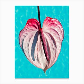 Anthurium Floating Swimming Pool Canvas Print