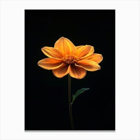 Dahlia 2 Canvas Print