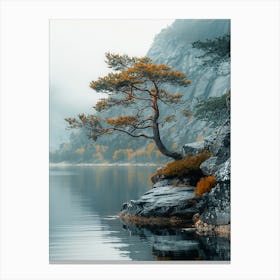 Lone Tree On A Rocky Shore Canvas Print