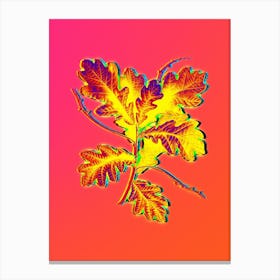 Neon English Oak Botanical in Hot Pink and Electric Blue n.0461 Canvas Print