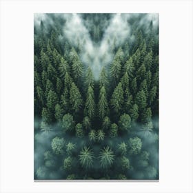 Aerial View Of A Forest 1 Canvas Print