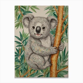 Koala 23 Canvas Print