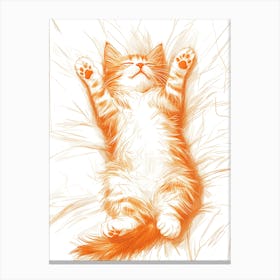 Orange Cat 1 Canvas Print