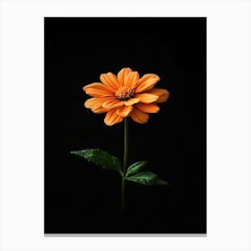 Single Orange Flower Canvas Print