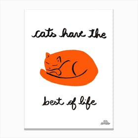 Cats Life Canvas Print