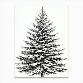 Fir Tree Pencil Sketch Ultra Detailed 5 Canvas Print