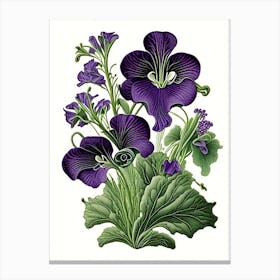 Violets Wildflower Vintage Botanical 1 Canvas Print