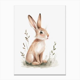 Belgian Hare Kids Illustration 2 Canvas Print