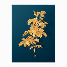 Vintage Single May Rose Botanical in Gold on Teal Blue Canvas Print