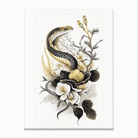 Hognose Snake Gold And Black Canvas Print