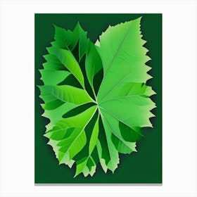 Calamint Leaf Vibrant Inspired 3 Canvas Print