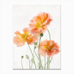 Marigold Flowers Acrylic Painting In Pastel Colours 8 Canvas Print