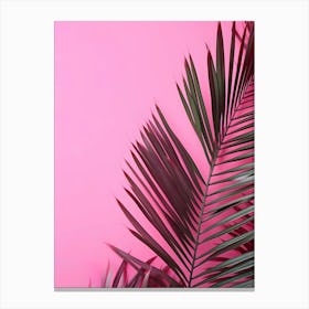 Pink Background With Palm Leaves Canvas Print