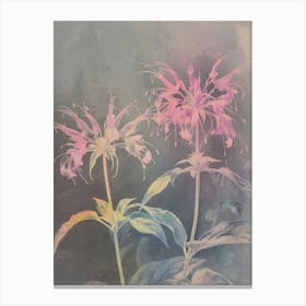 Iridescent Flower Bee Balm 2 Canvas Print